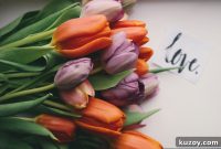 7 Things Every Marriage Needs to Survive and Thrive