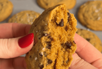 Quick 20-Minute Chocolate Chip Cookies Recipe