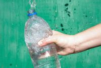 How Microplastics Are Contaminating the Food Industry and You