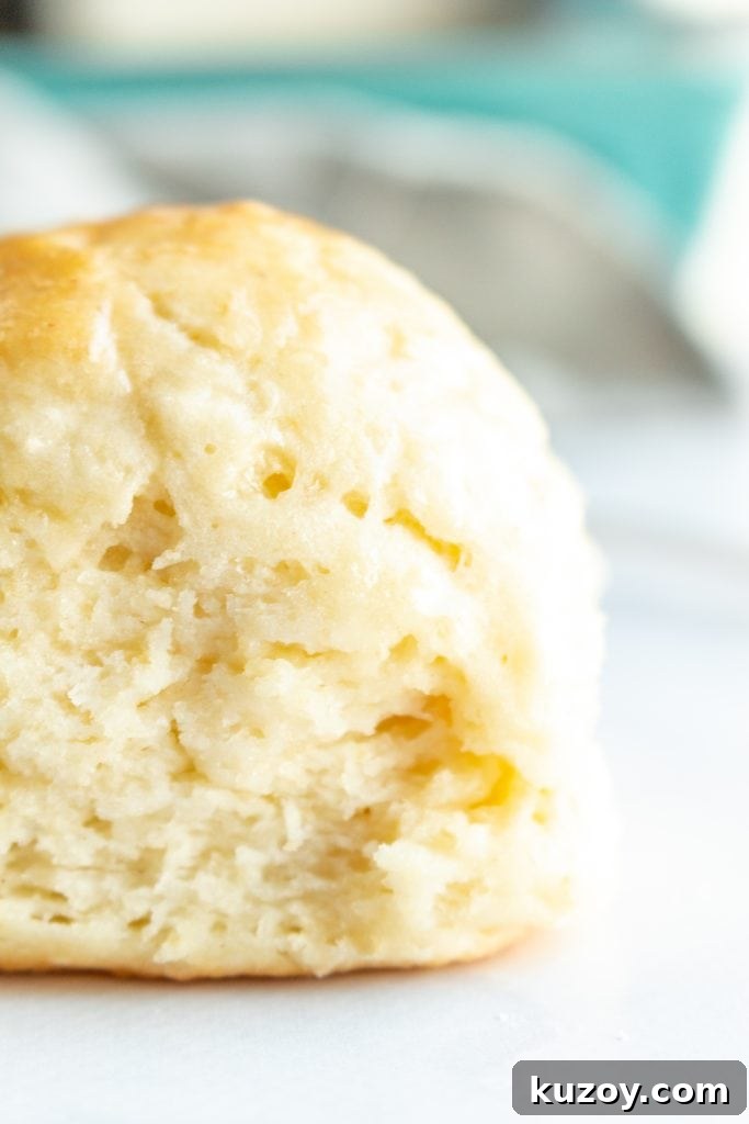 Super Soft Gluten-Free Dinner Rolls Recipe (No-Fail) 2 a tall and fluffy gluten free roll