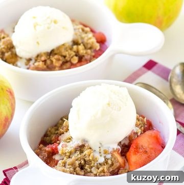 Two bowls of Crock Pot apple crisp with ice cream and apples.