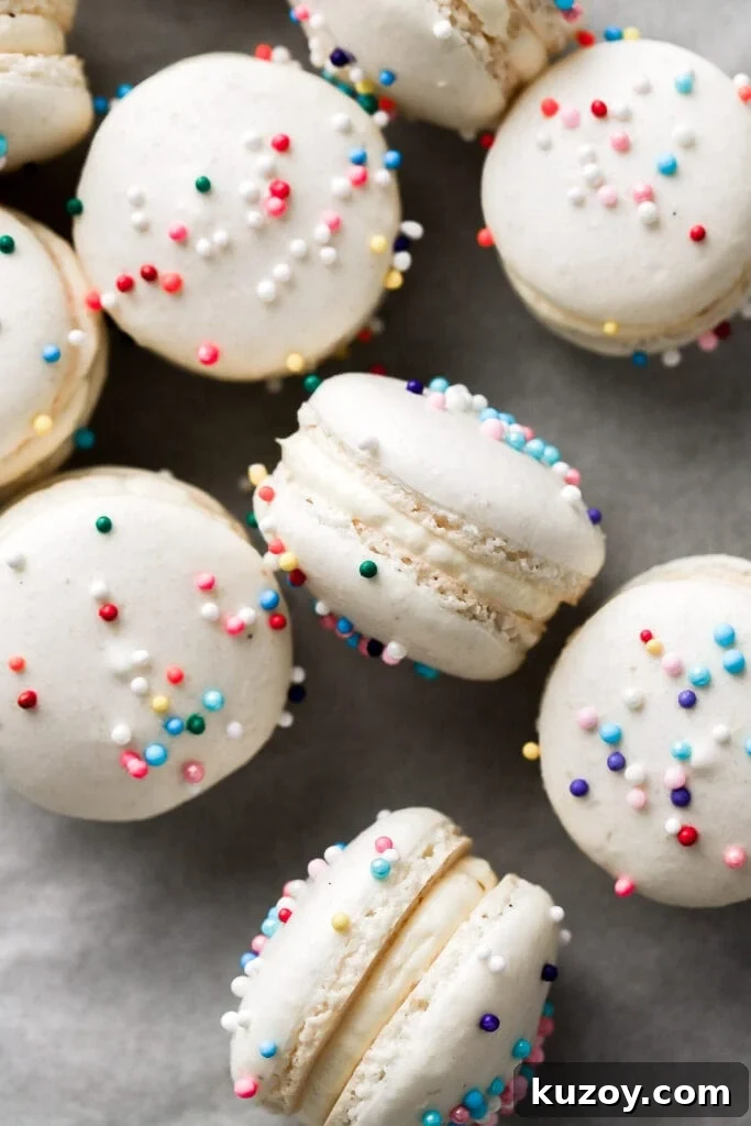 Mini Macarons: Bite-Sized French Cookie Recipes & Tips 6 cute little mini macarons