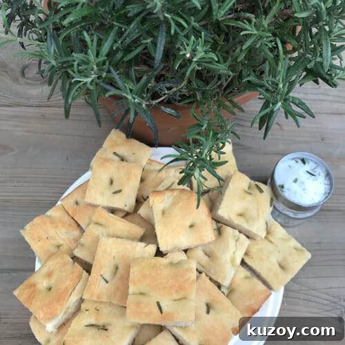 Cutting and Drying Rosemary for Strong Flavor and Long Storage 6 rosemary focaccia