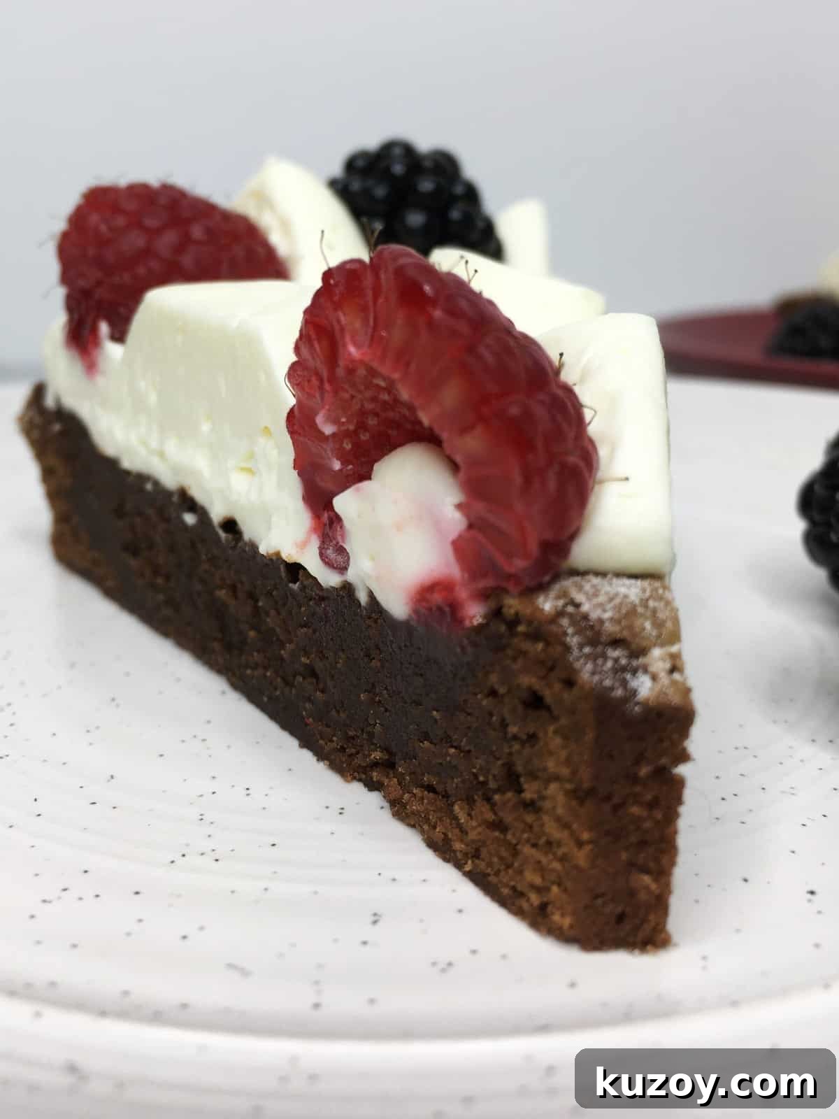 Decadent Brownie Birthday Cake Recipe 4 A single brownie slice topped with Chantilly cream and fresh red fruit on a dessert plate