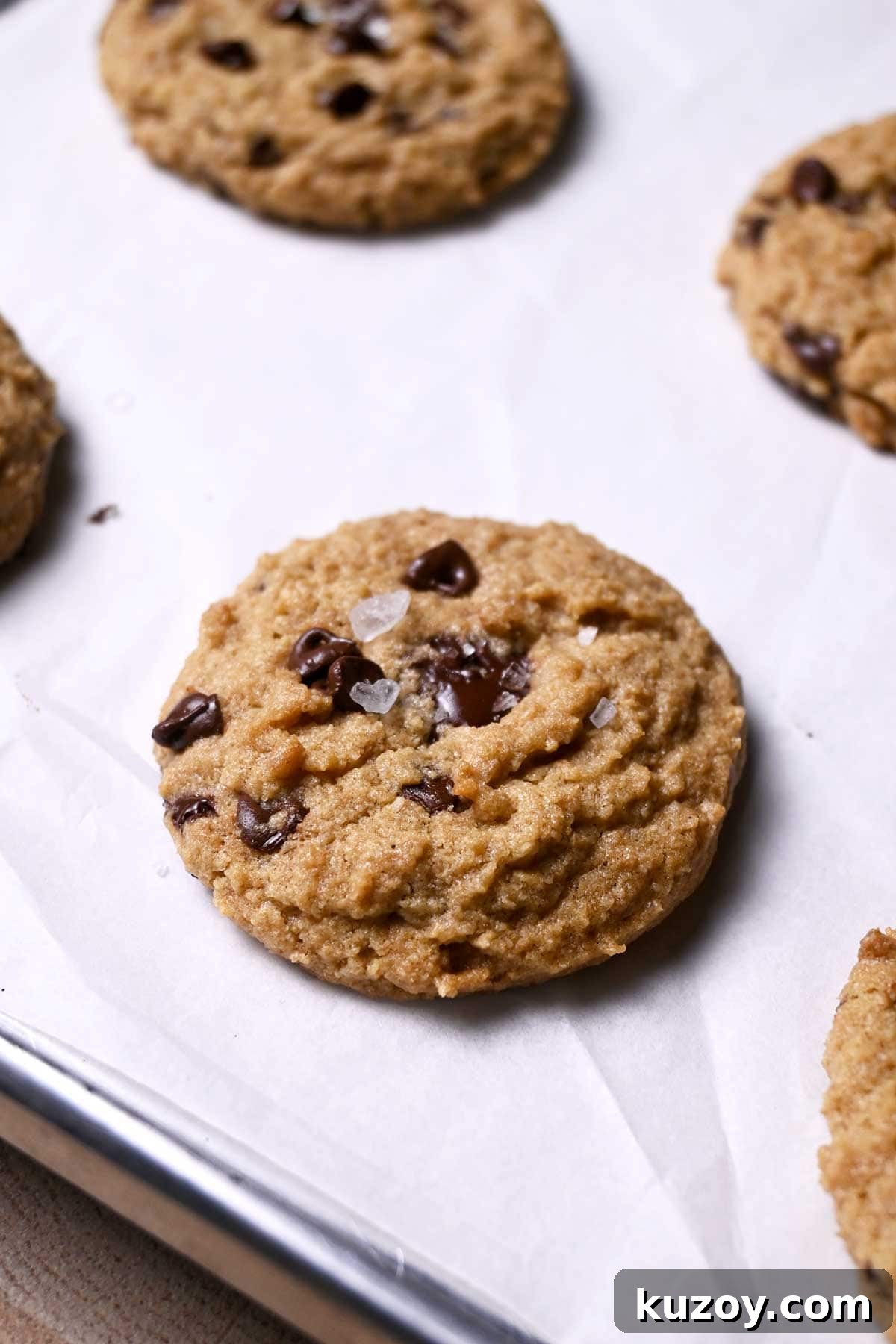 Oat Flour Chocolate Chip Cookie Recipe for Chewy, Gluten-Free Treats 6 gluten free chocolate chip cookies with sea salt flakes