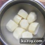 img 12301 11
