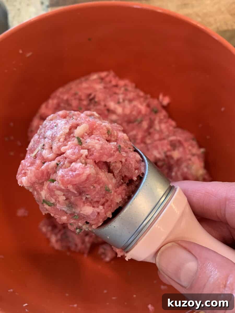 A scoop of raw meat, using an ice cream scoop