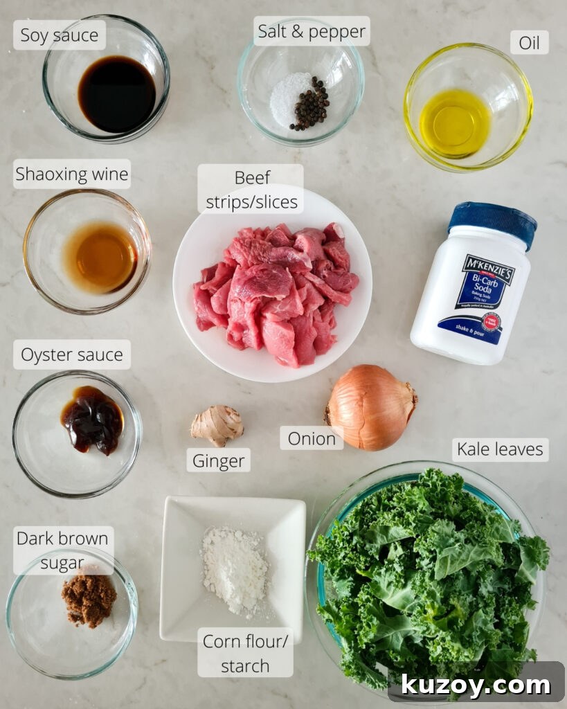 Overhead shot of all the ingredients required 