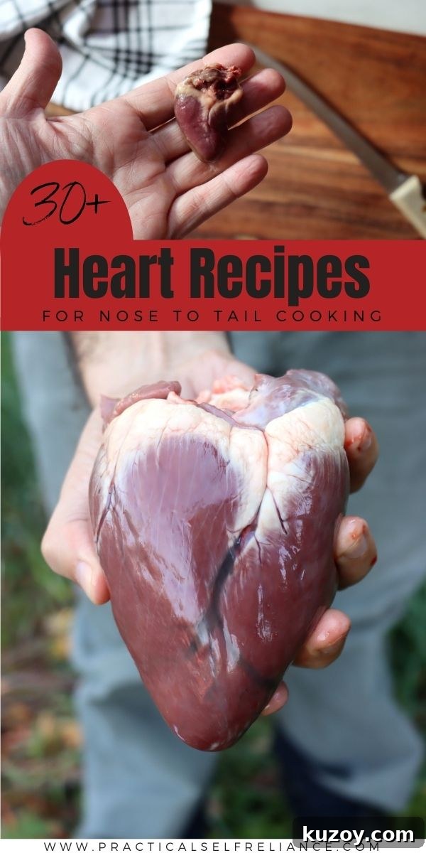 30+ Heart Recipes for Nose-to-Tail Cooking: Flavorful Organ Dishes 8 Heart Recipes