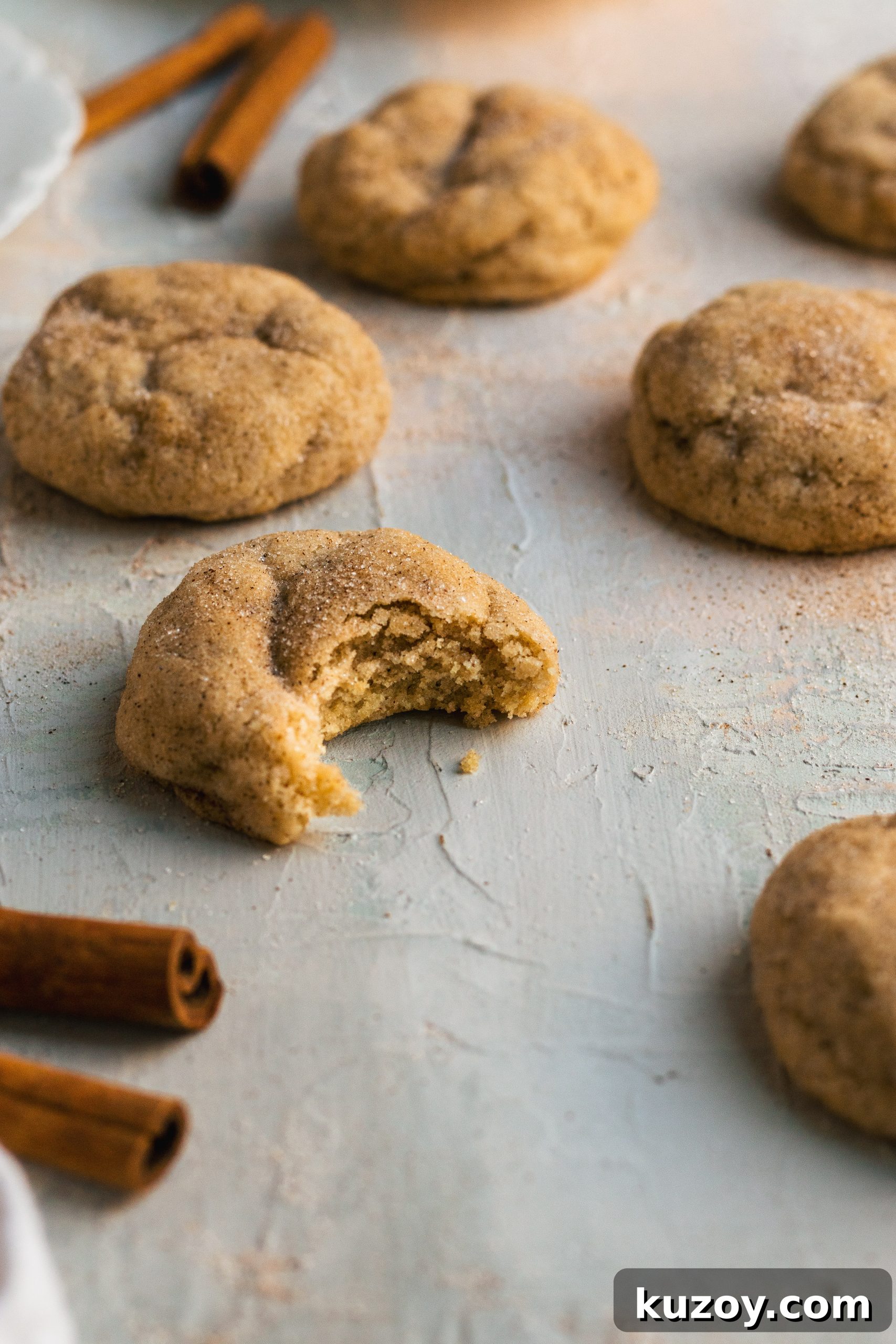 Chai-Spiced Snickerdoodles: Warm Cookie Recipe for Cozy Nights 2 Chewy Chai Snickerdoodles - a delicious Christmas cookie!