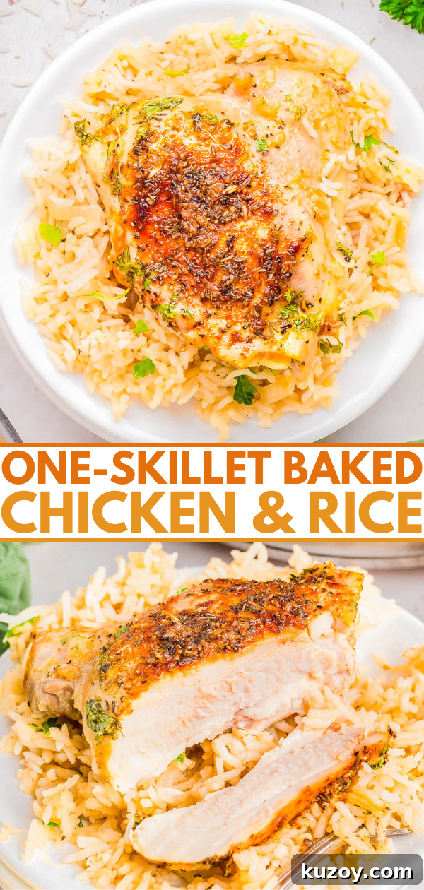 Plate of baked chicken on rice with herbs.