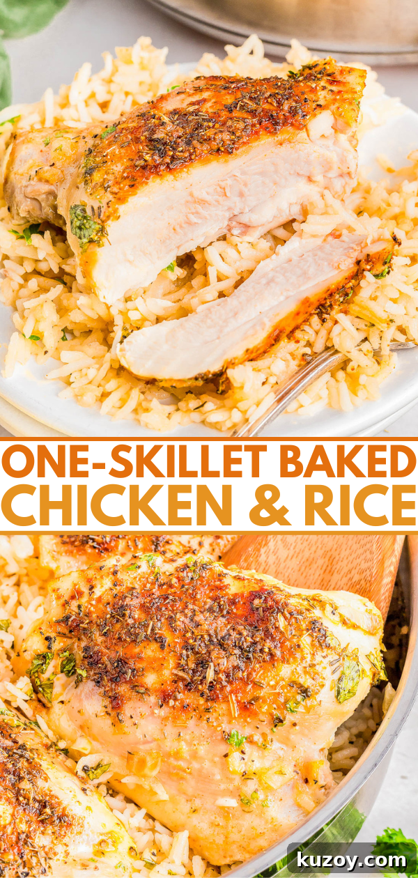Baked chicken with crispy skin served over rice, topped with herbs.