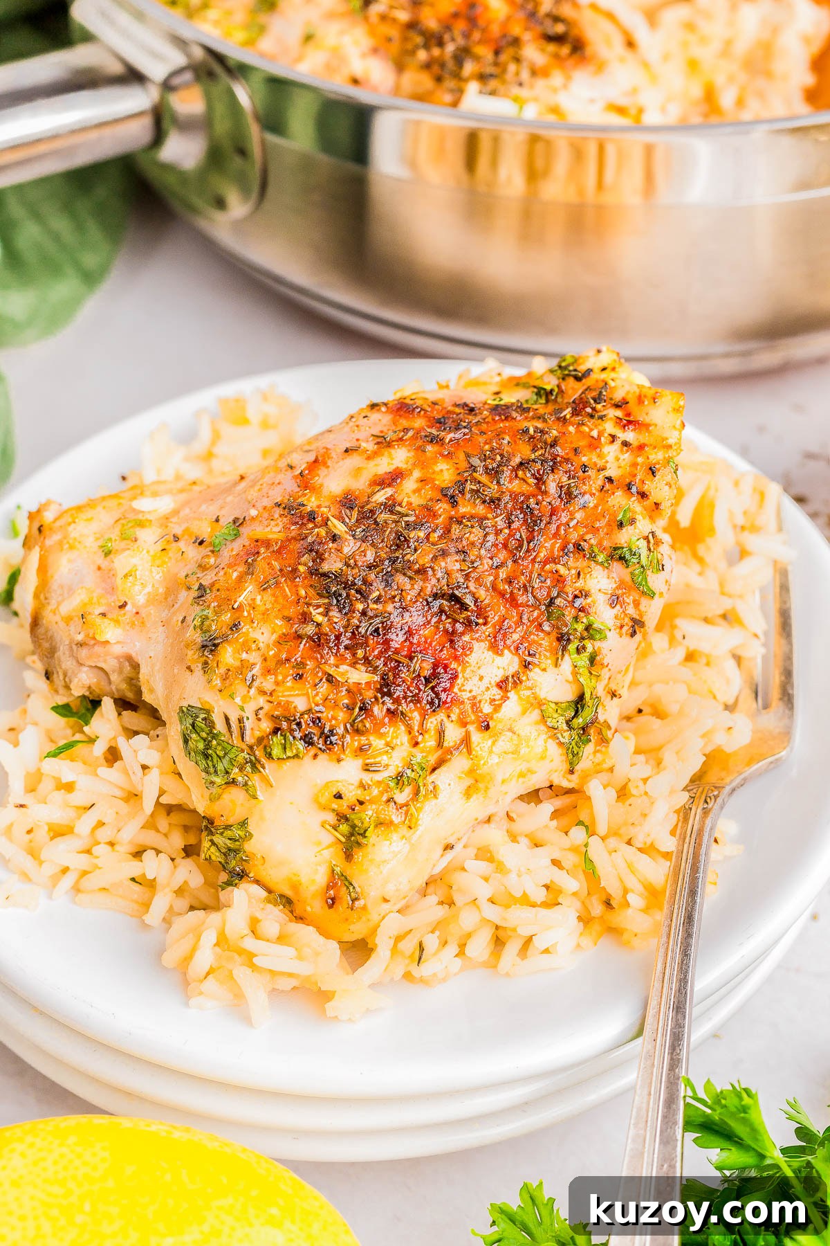 Seasoned chicken breast on a bed of rice, garnished with herbs, served on a white plate with a fork.