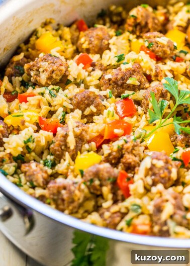 A pot of rice with vegetables and meatballs garnished with parsley.