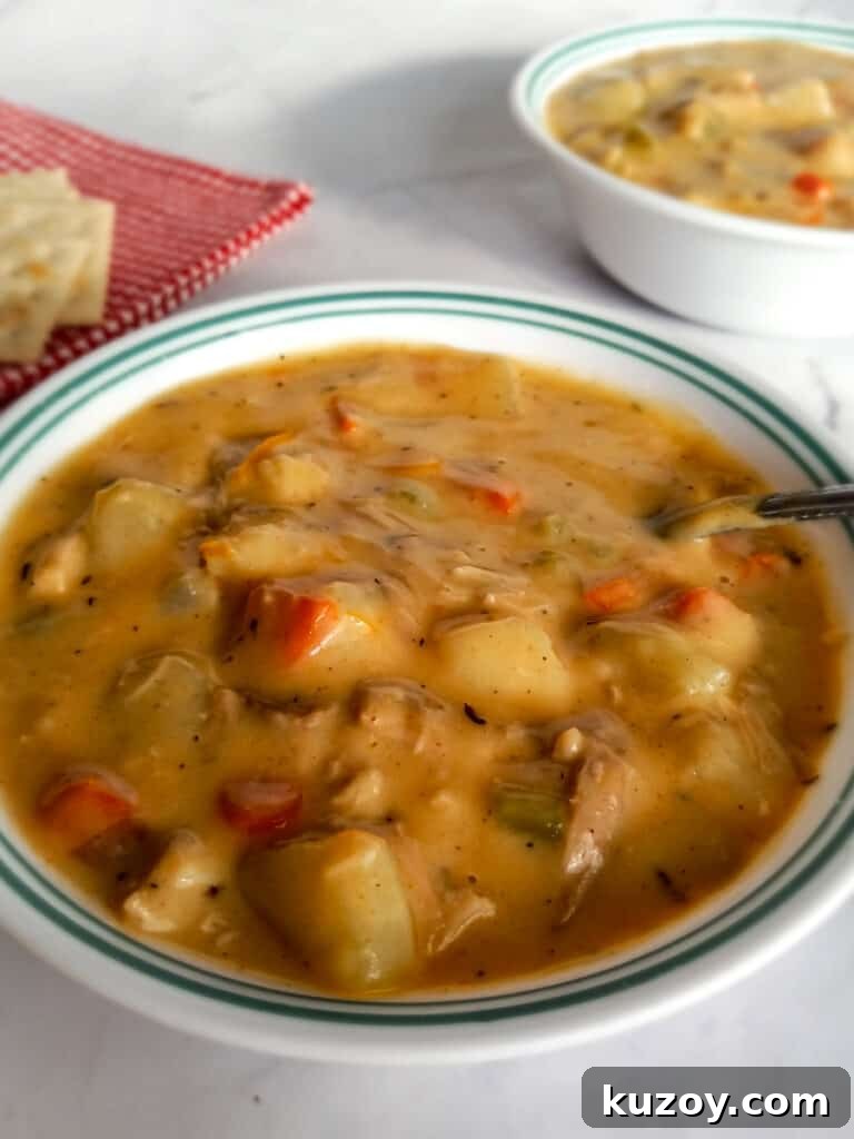 a serving of creamy chicken soup in a bowl and another bowl full in the background.