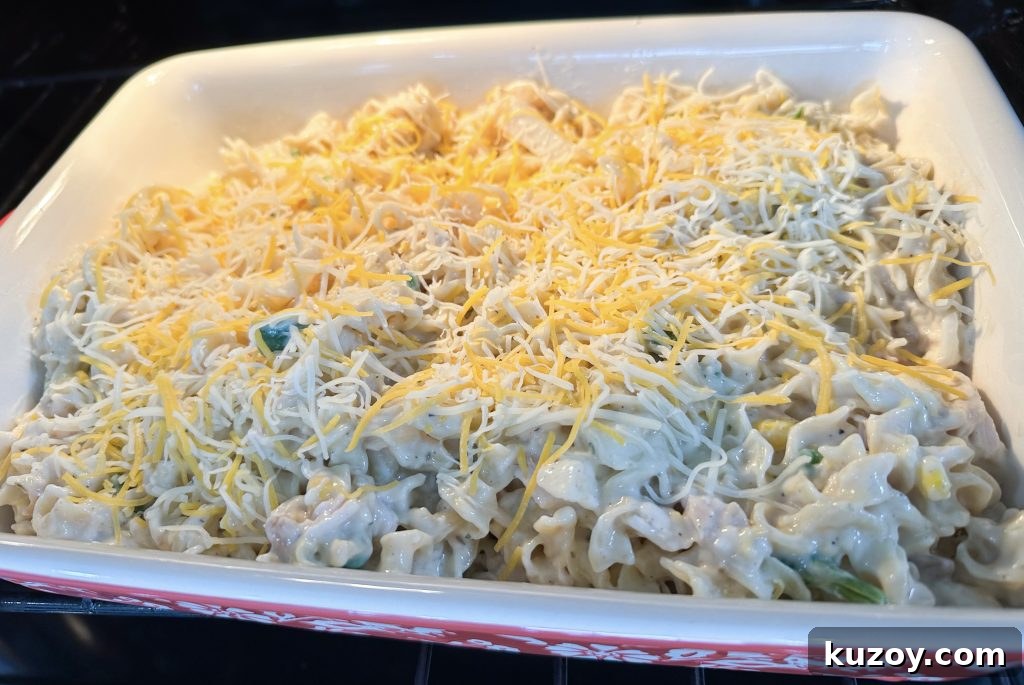 Dump-and-Bake Chicken Noodle Casserole Recipe for Busy Nights 6 Casserole in baking dish before baking