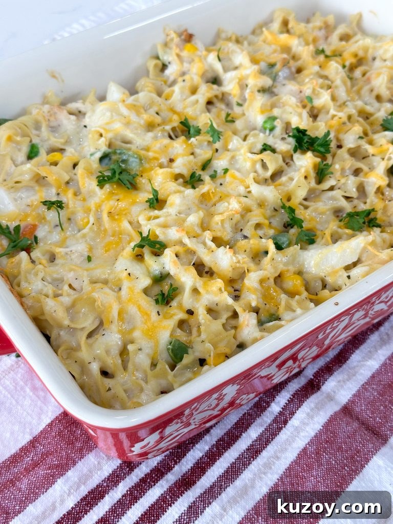 Dump-and-Bake Chicken Noodle Casserole Recipe for Busy Nights 7 Baked chicken noodle casserole with golden cheese