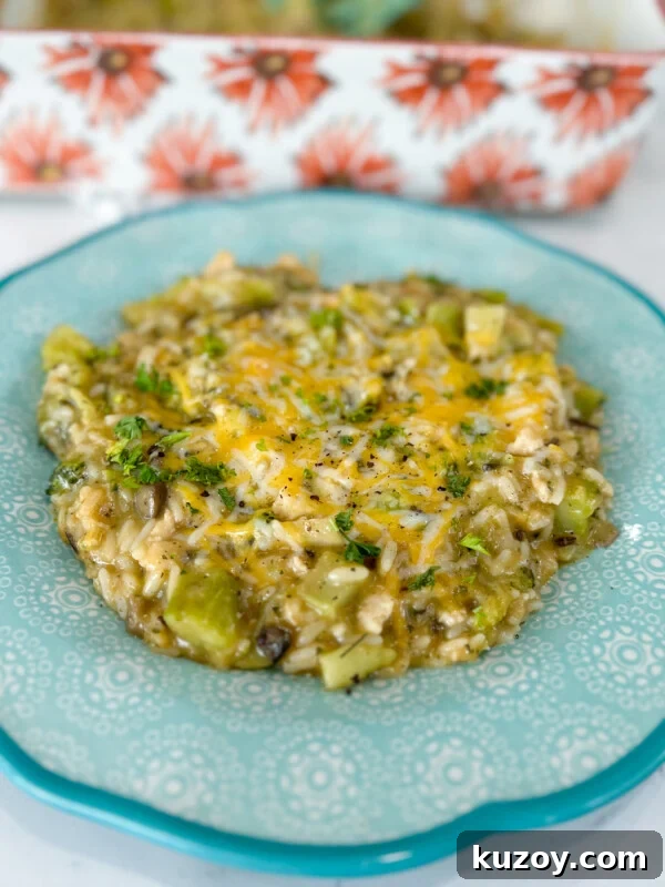 Dump-and-Bake Chicken Noodle Casserole Recipe for Busy Nights 9 Chicken and rice casserole with broccoli