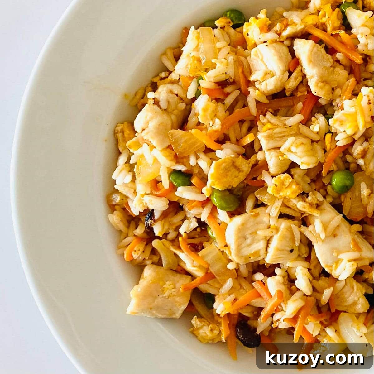 Blackstone-Style Fried Rice Recipe: Restaurant Flavor at Home 3 blackstone chicken fried rice in bowl.