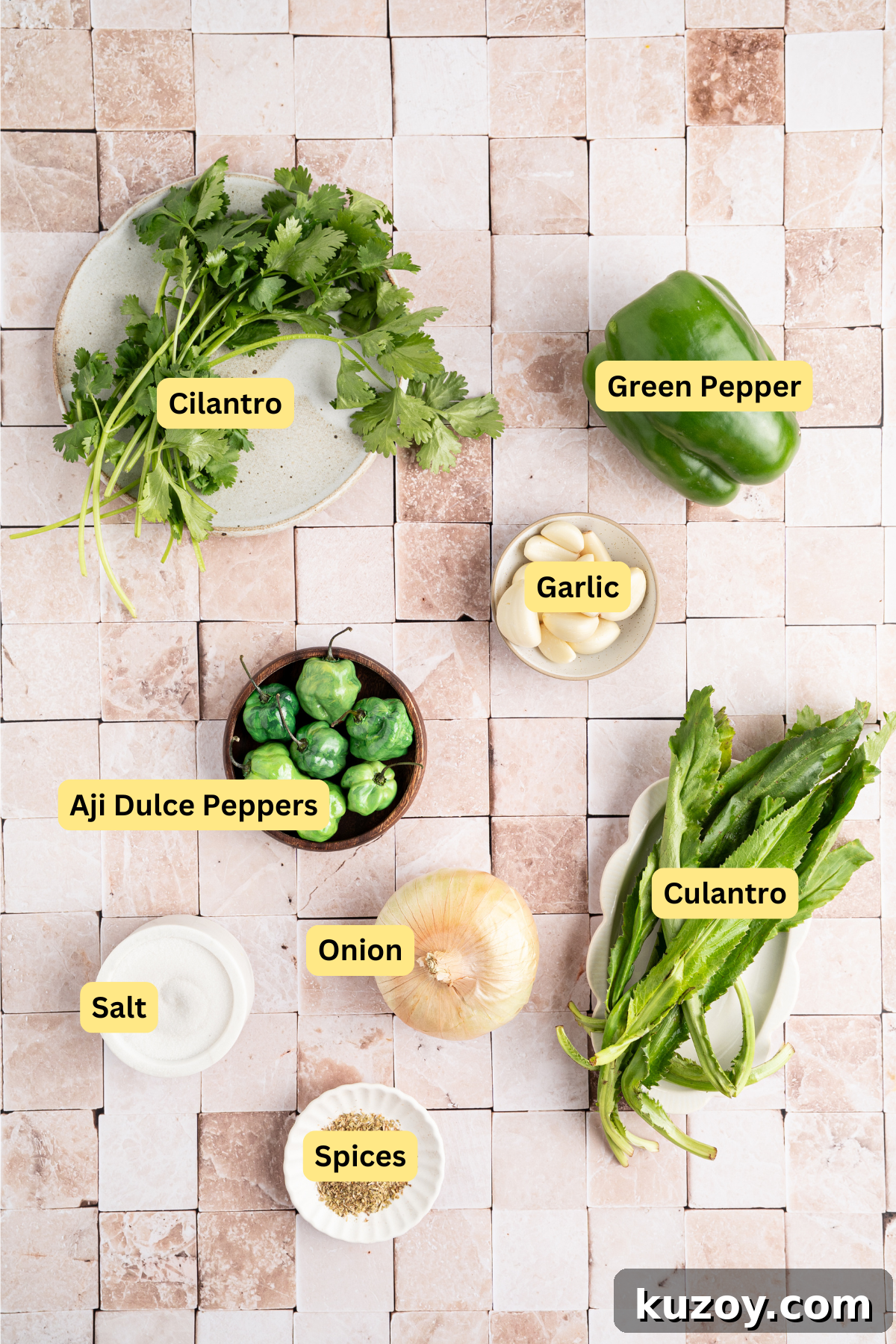 Abuela’s Authentic Green Sofrito Recipe for Vibrant Flavor 2 img 13534 1