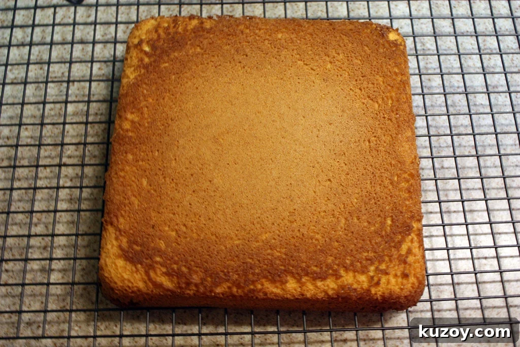Tiramisu Without Ladyfingers: Simple Mascarpone Recipe 4 Genoise cake on a wire rack.