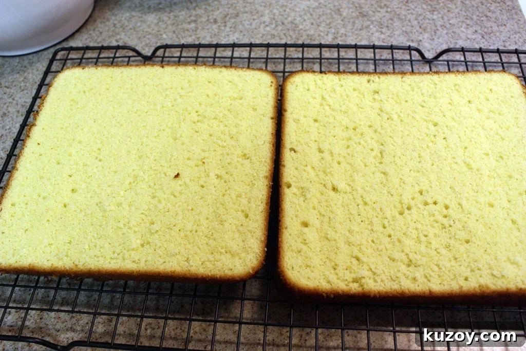 Tiramisu Without Ladyfingers: Simple Mascarpone Recipe 9 Genoise cake cut in half on a wire rack.