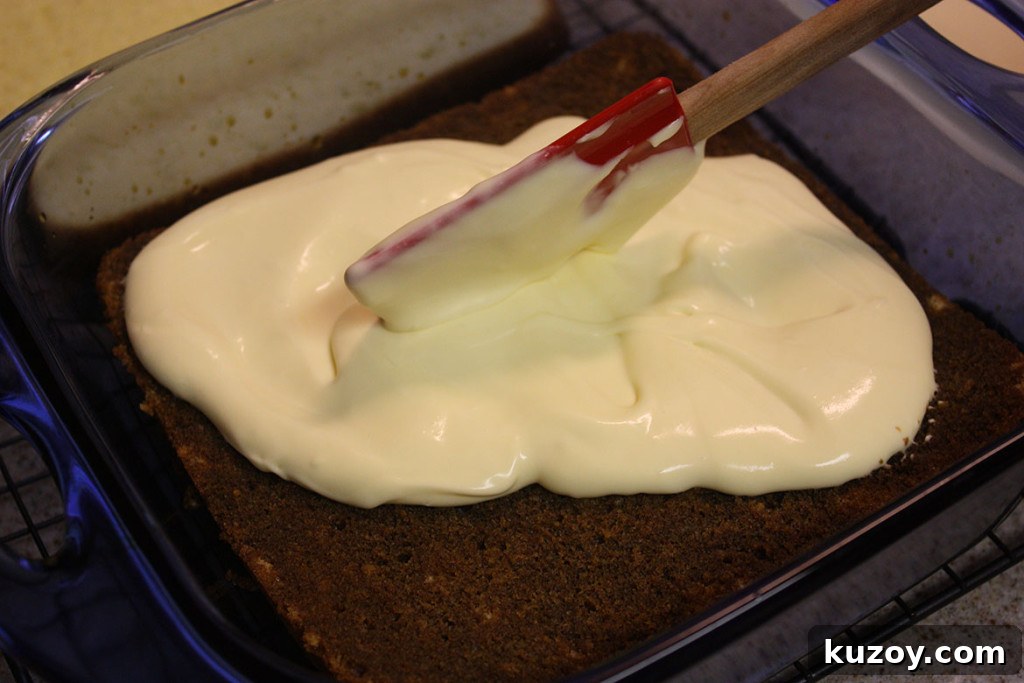Tiramisu Without Ladyfingers: Simple Mascarpone Recipe 10 Cake with half the mascarpone mixture spread on top.