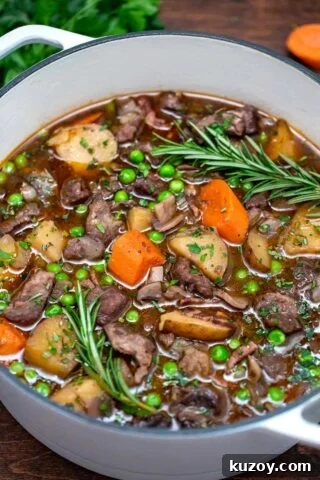 photo of lamb stew in dutch oven