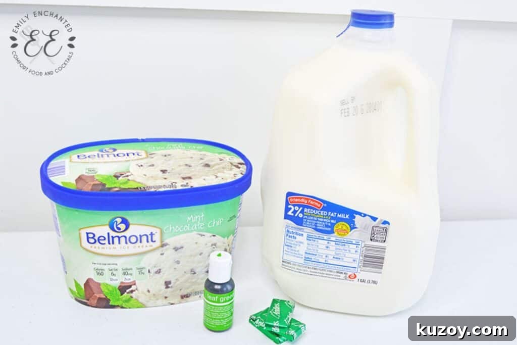 Homemade Shamrock Shake Recipe for Creamy Minty Bliss 2 img 1490 4