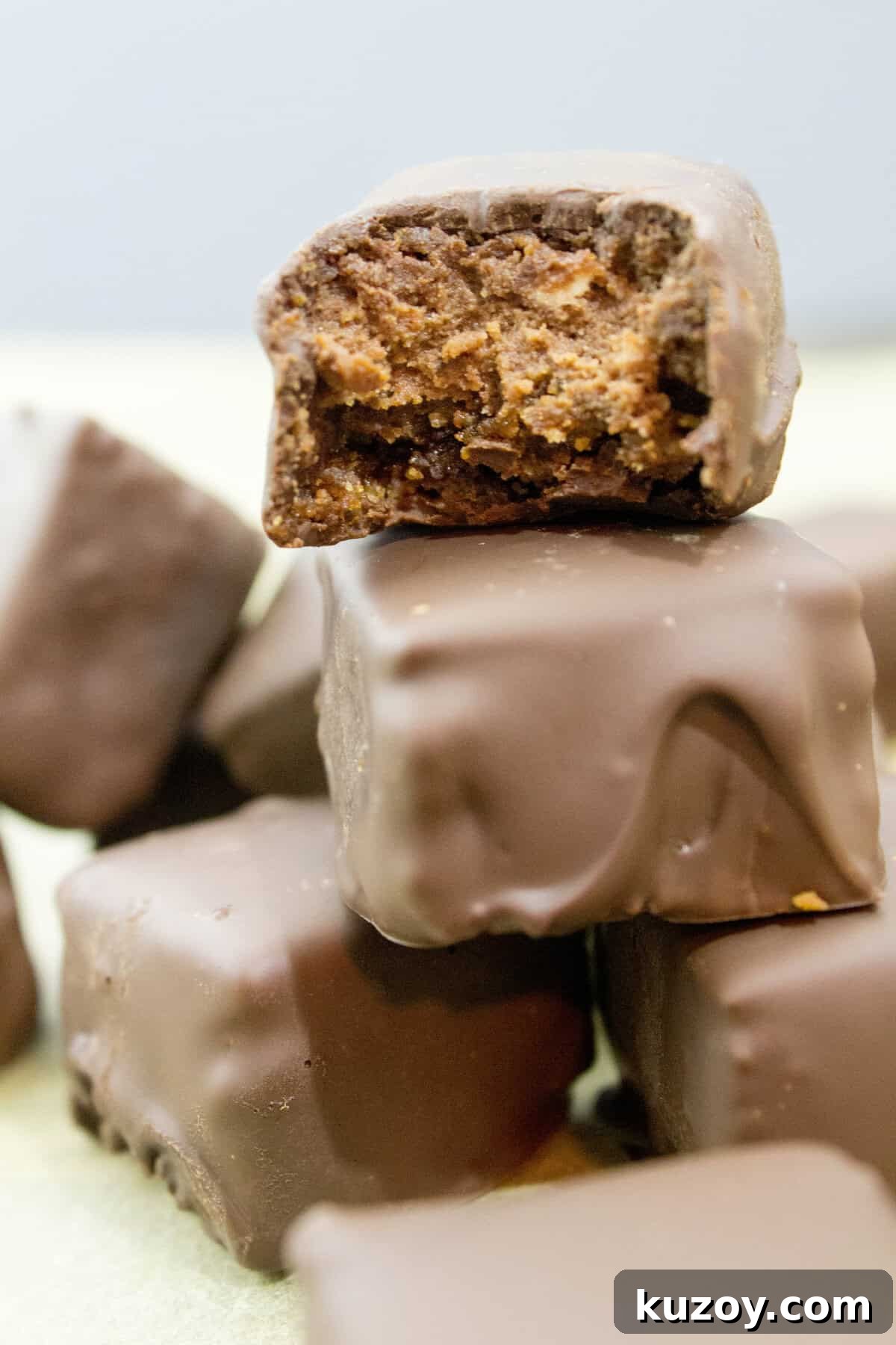 Triple Chocolate Cheesecake Bites Dipped in Dark Chocolate 2 img 1500 1