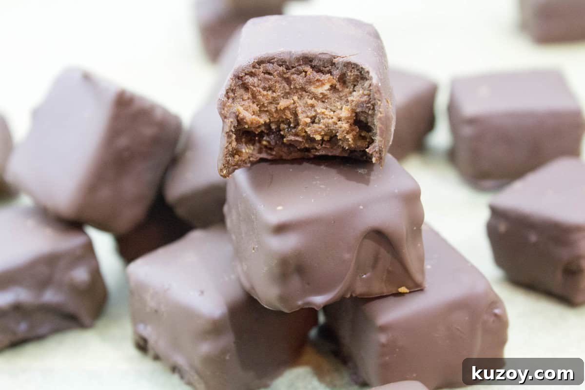 Triple Chocolate Cheesecake Bites Dipped in Dark Chocolate 4 img 1500 3
