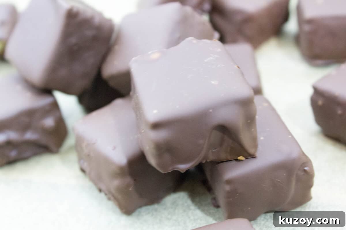 Triple Chocolate Cheesecake Bites Dipped in Dark Chocolate 5 Triple Chocolate Dipped Cheesecake Bites