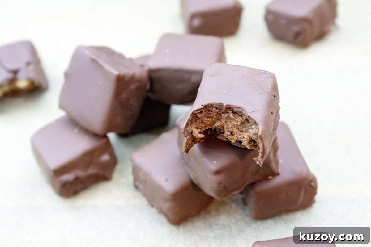 Triple Chocolate Cheesecake Bites Dipped in Dark Chocolate 6 Triple Chocolate Dipped Cheesecake Bites