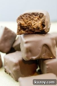 Triple Chocolate Dipped Cheesecake Bites