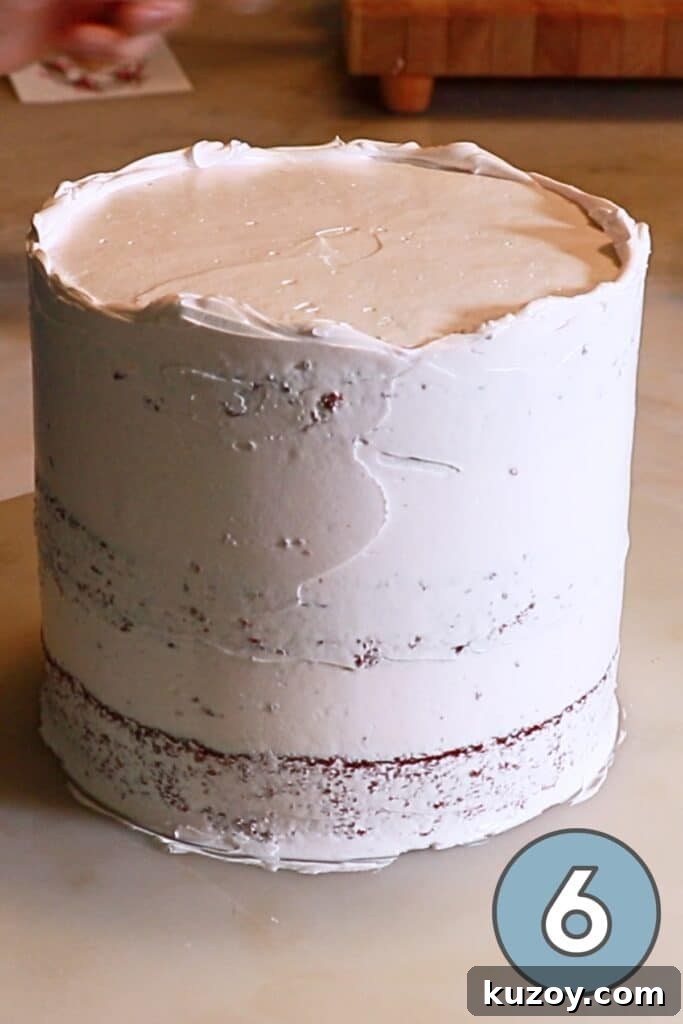 Vintage Pink Cake Ideas for Elegant Party Desserts 14 crumb coated red velvet cake