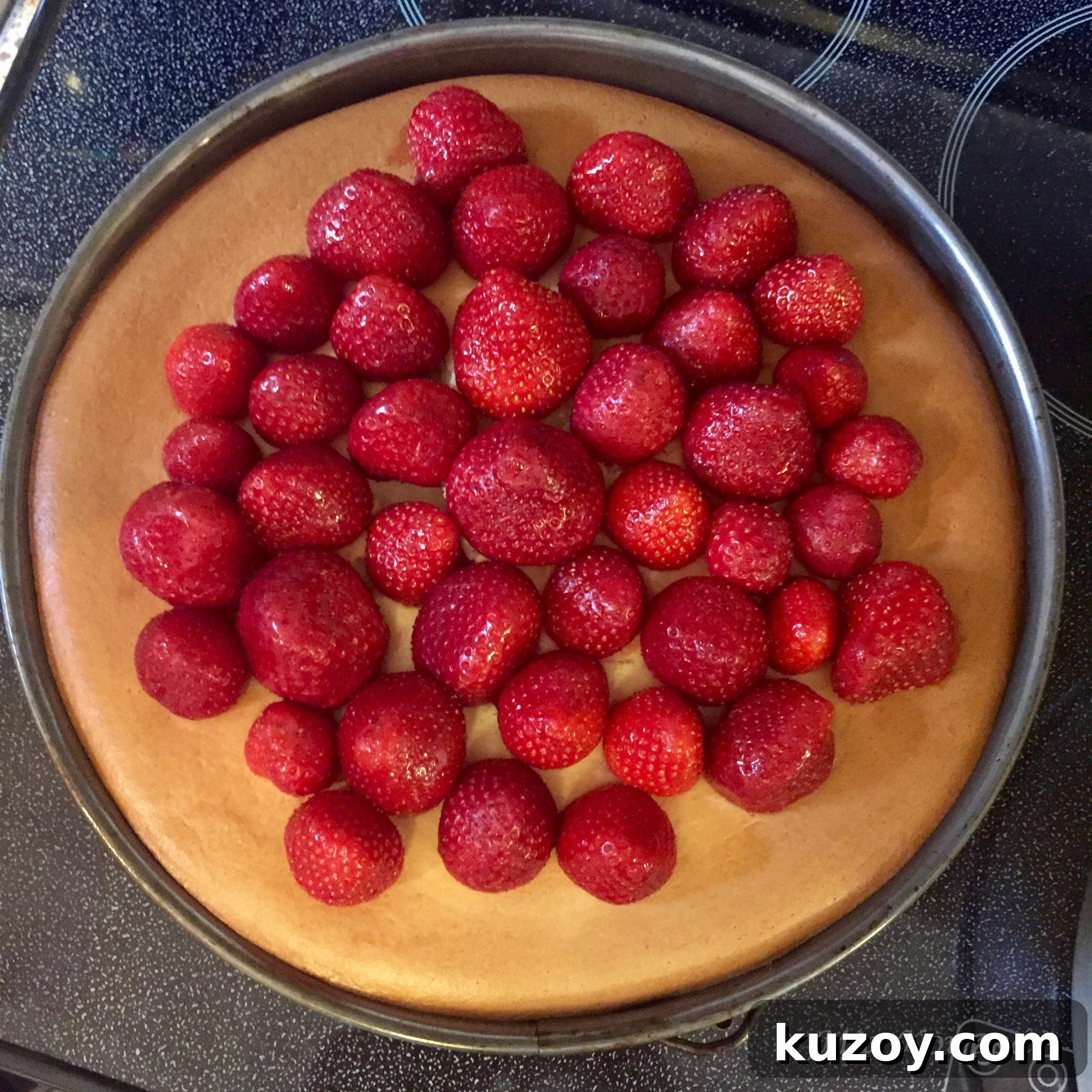 Classic Greek Cheesecake Recipe with Creamy Phyllo Crust 11 Cheesecake