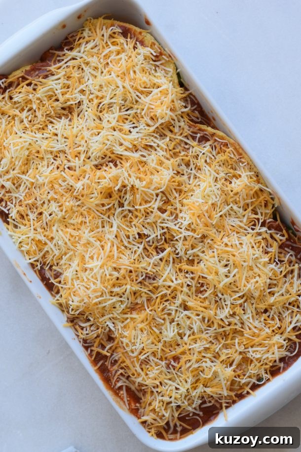 Mexican Lasagne | Pamela Salzman