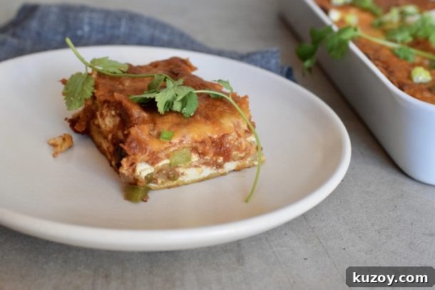 Mexican Lasagne | Pamela Salzman