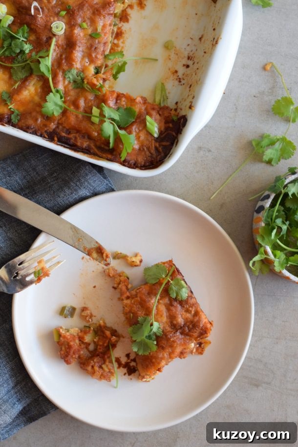 Mexican Lasagne | Pamela Salzman