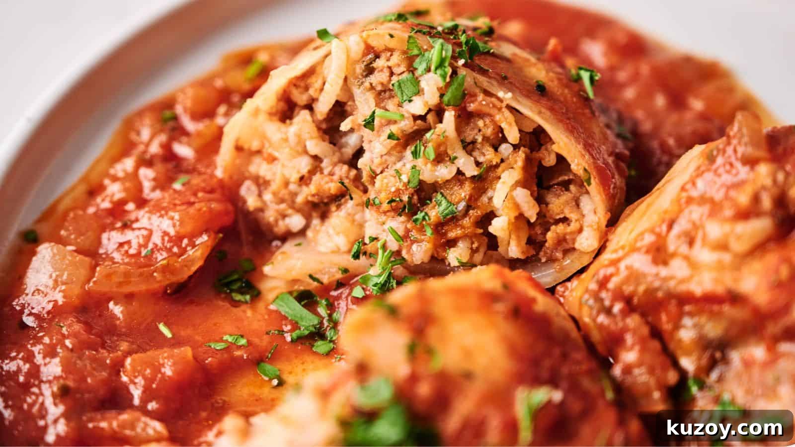 33 Must-Bring Thanksgiving Potluck Recipes for Every Year 15 Close-up of stuffed cabbage rolls filled with rice and ground meat, topped with tomato sauce and garnished with chopped herbs.