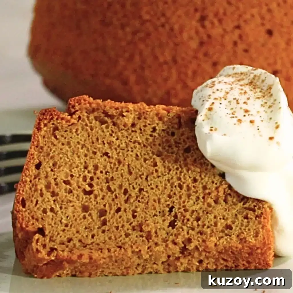 a slice of pumpkin pie spice chiffon cake with whipped cream on a plate
