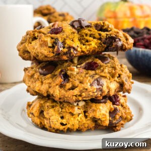 Pumpkin Oat Breakfast Cookies — Ready in 30 Minutes 12 Three Pumpkin Breakfast Cookies are stacked on a white plate.