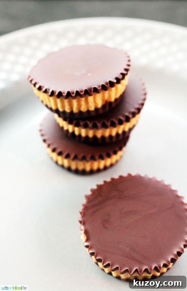 Paleo & Vegan Peanut Butter Cups — Dairy-Free Recipe Options 4 Easy Homemade Healthy Peanut Butter Cups