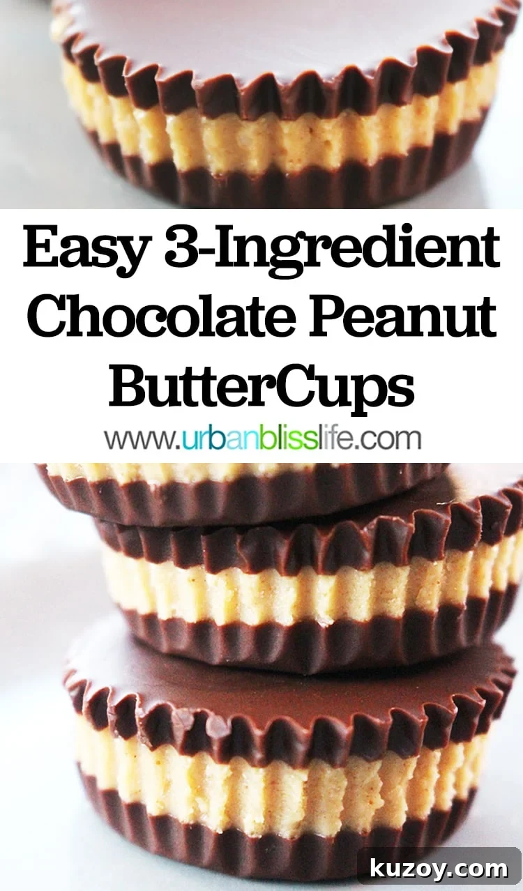 Paleo & Vegan Peanut Butter Cups — Dairy-Free Recipe Options 6 homemade chocolate peanut butter cups