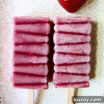 Sugar-Free Strawberry Popsicles Recipe — Fresh & Fruity 7 img 20449 6