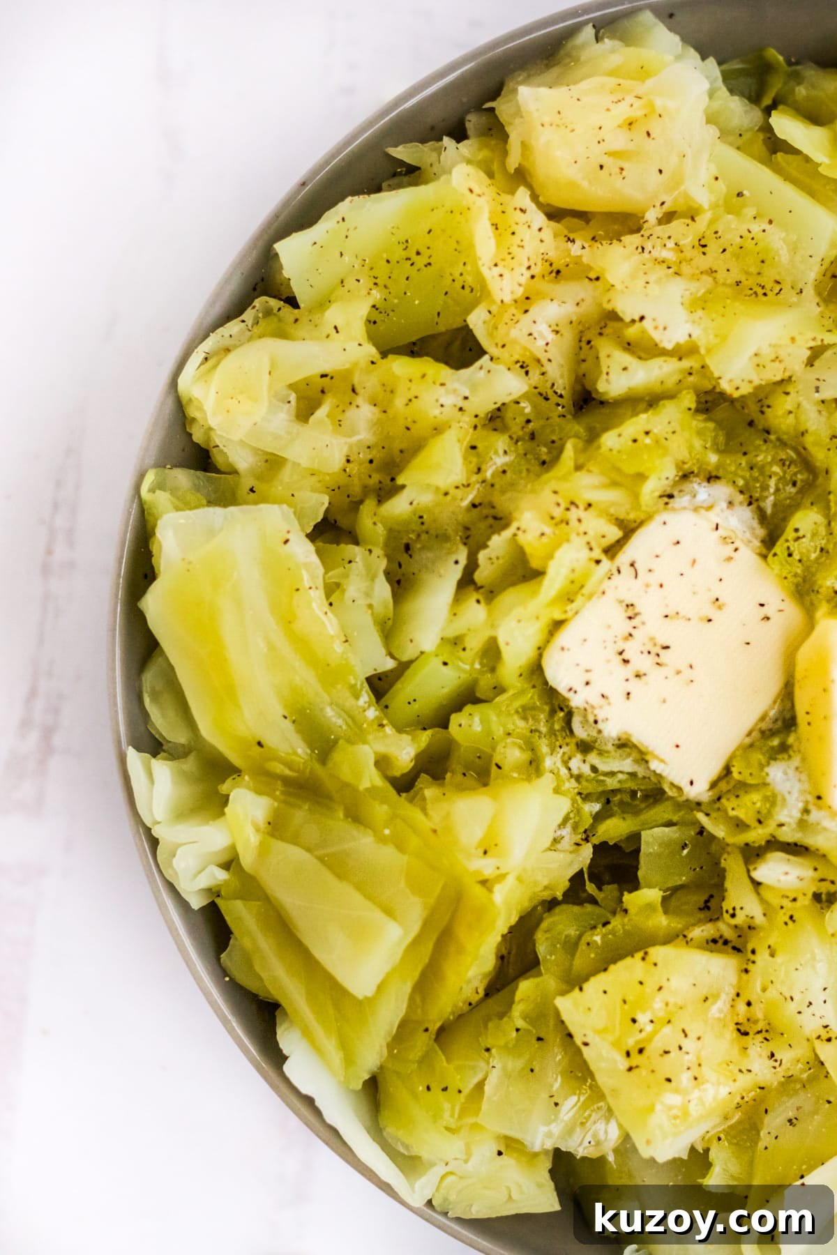 Instant Pot Braised Cabbage Recipe: Quick Tender Cabbage 2 img 2153 1