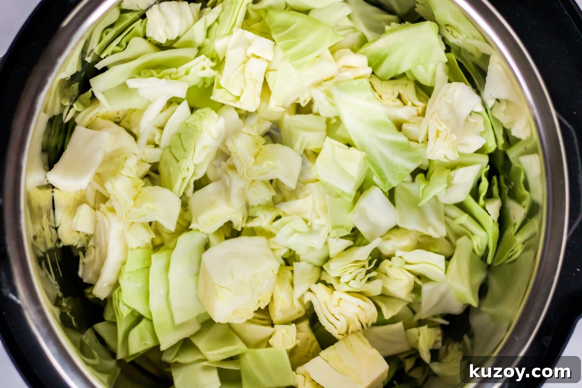 Instant Pot Braised Cabbage Recipe: Quick Tender Cabbage 5 instant pot cabbage chopped up