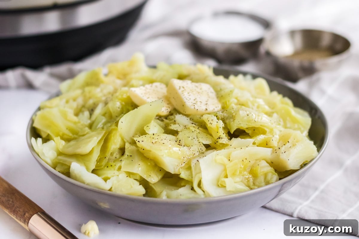 Instant Pot Braised Cabbage Recipe: Quick Tender Cabbage 6 instant pot cabbage in a bowl