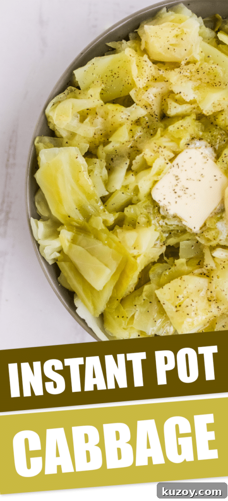Instant Pot Braised Cabbage Recipe: Quick Tender Cabbage 9 instant pot cabbage in a bowl with text that reads instant pot cabbage