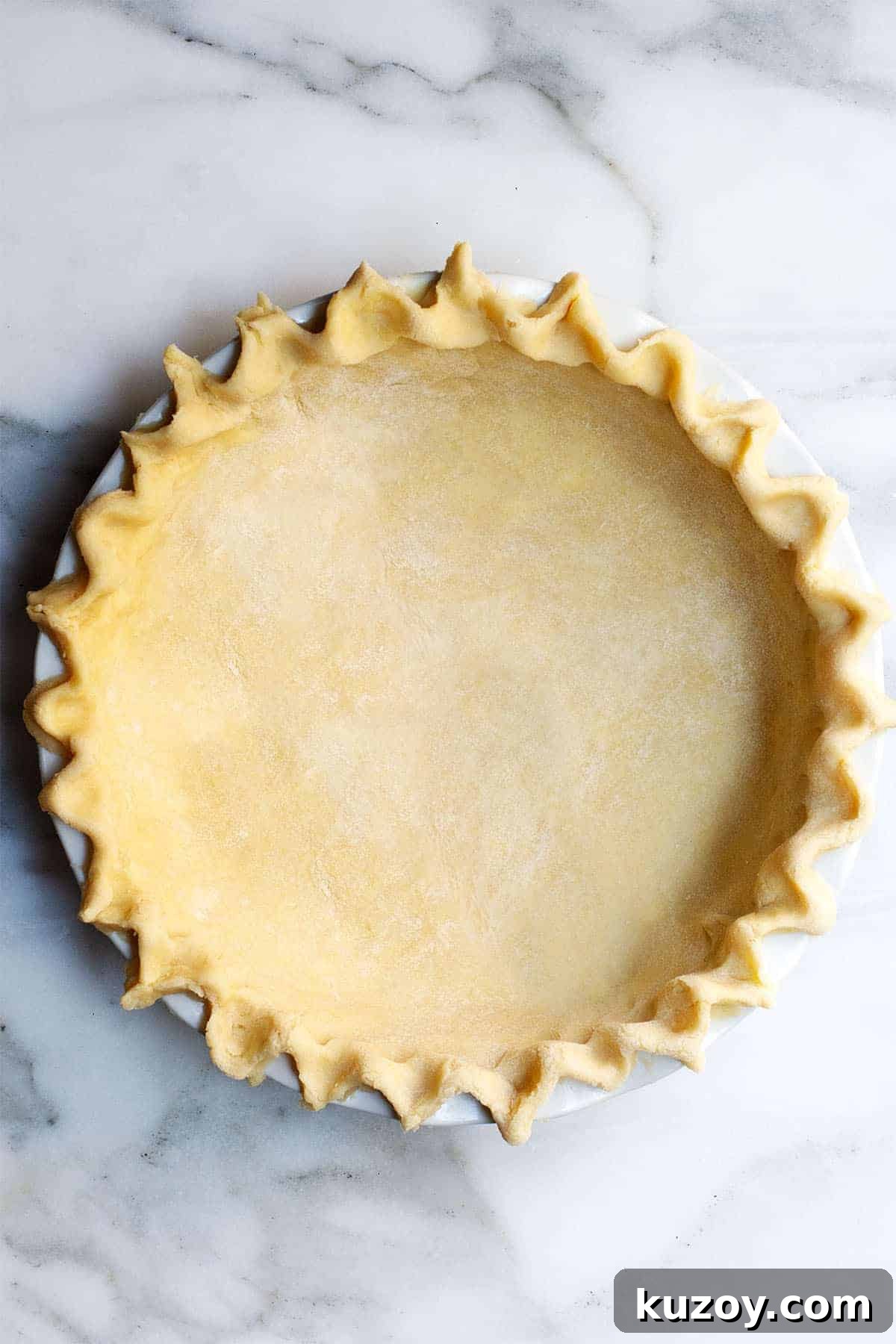 Flaky Lard Pie Crust Recipe for Perfect Homemade Pies 15 Lard Pie Crust in a pie plate